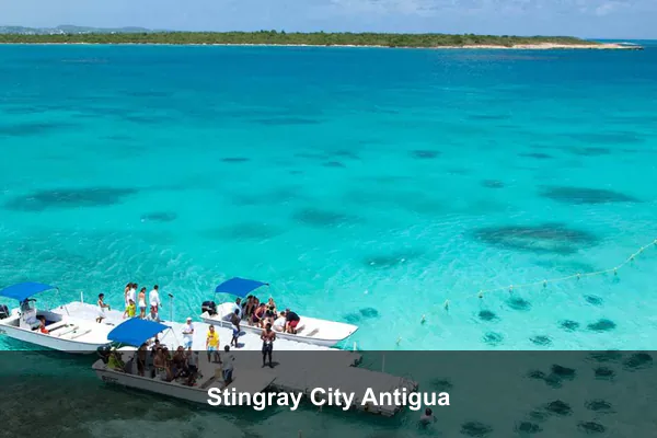 Stingray City Antigua