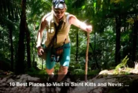 10 Best Places to Visit in Saint Kitts and Nevis: A Complete Travel Guide 10 Best Places to Visit in Saint Kitts and Nevis: A Complete Travel Guide