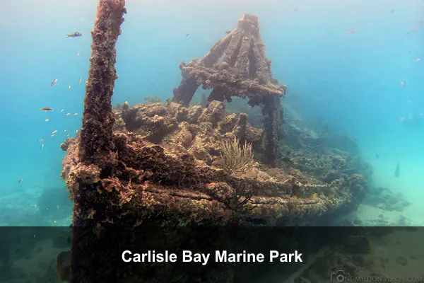 Carlisle Bay Marine Park