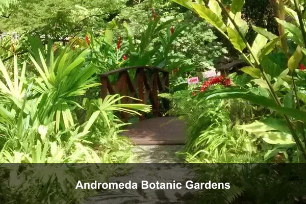 Andromeda Botanic Gardens