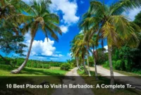 10 Best Places to Visit in Barbados: A Complete Travel Guide 10 Best Places to Visit in Barbados: A Complete Travel Guide