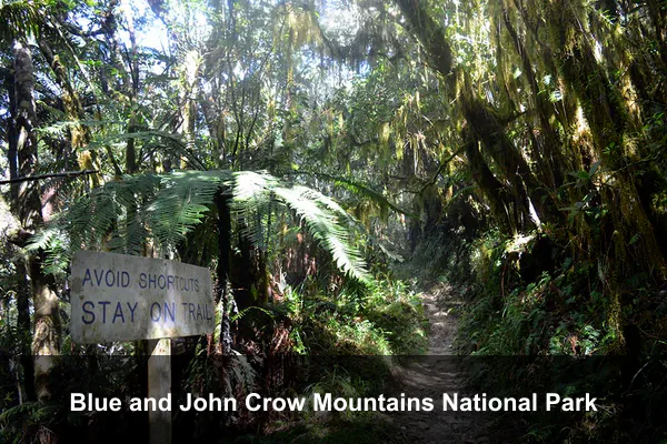 Blue and John Crow Mountains National Park