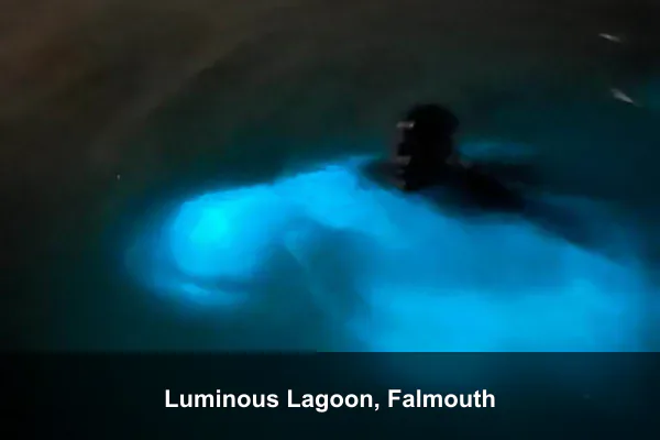 Luminous Lagoon, Falmouth