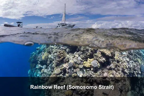 Rainbow Reef (Somosomo Strait)