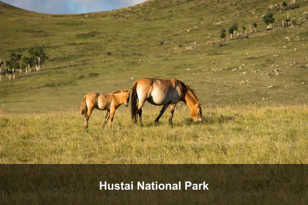 Hustai National Park