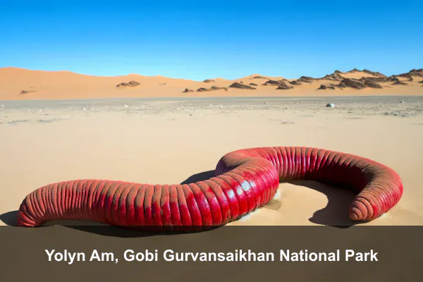 Yolyn Am, Gobi Gurvansaikhan National Park