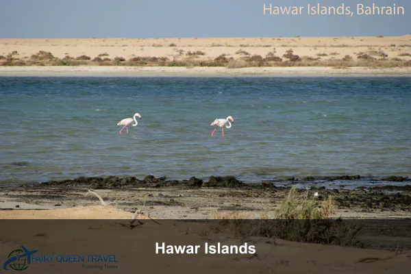 Hawar Islands