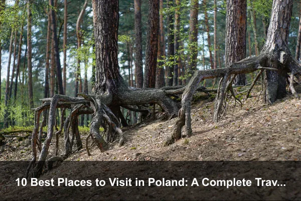 10 Best Places to Visit in Poland: A Complete Travel Guide