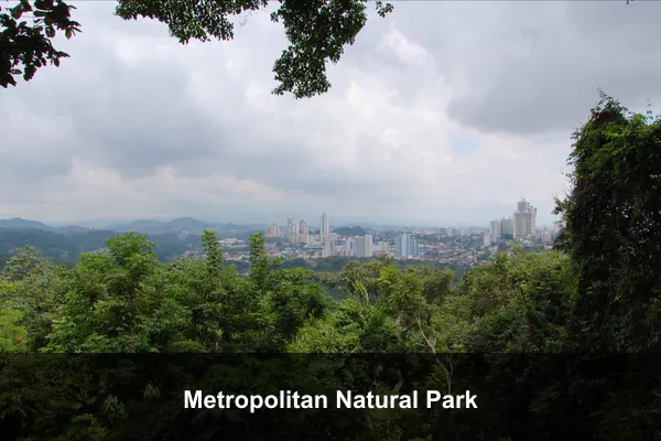 Metropolitan Natural Park