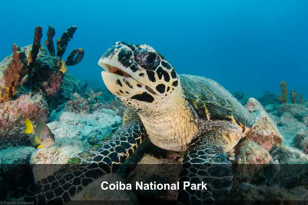 Coiba National Park