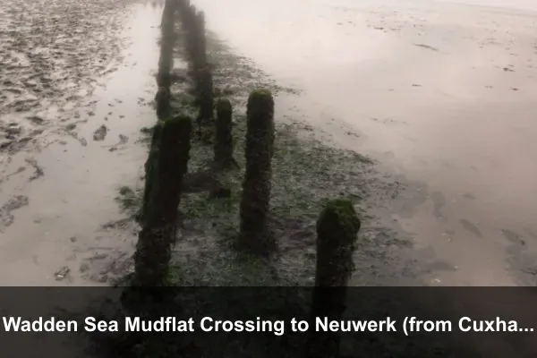 Wadden Sea Mudflat Crossing to Neuwerk (from Cuxhaven)