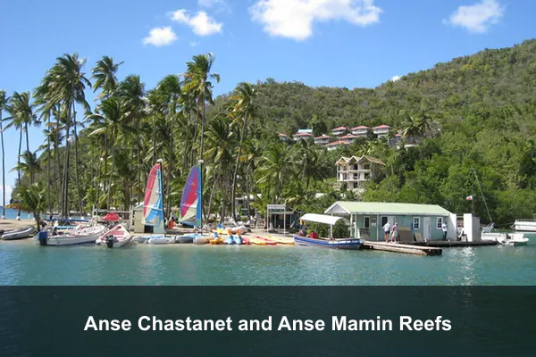 Anse Chastanet and Anse Mamin Reefs