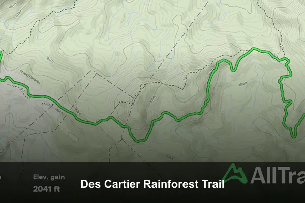 Des Cartier Rainforest Trail